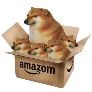 📦 dbf98b22 amazom doge, hund, meme, amazon, box telegram sticker