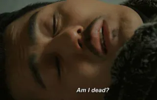 😦 05e4aa26 Am I dead? domanda, citazione, persona, sdraiato telegram sticker