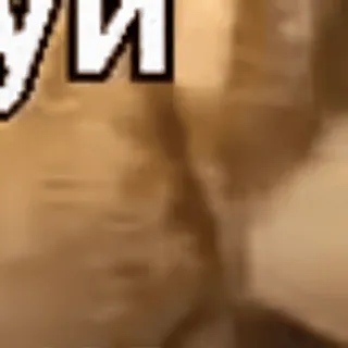 🌟 99ead0d5 telegram sticker