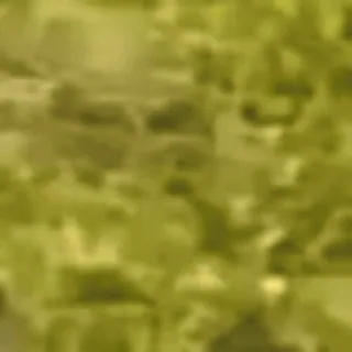 🌟 e655d36b telegram sticker