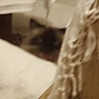 👹 0fd64070 whatsapp sticker