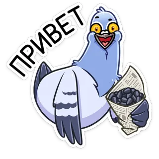 👋 026e6a37 ПРИВЕТ piccione, uccello, ciao, cartone animato, saluto telegram sticker