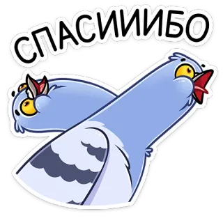 ☺️ 138b3f30 СПАСИИБО grazie, piccione, uccello, russo, adesivo telegram sticker