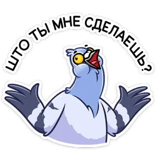 🤷‍♀️ 5d882be0 ЧТО ТЫ МНЕ СДЕЛАЕШЬ? uccello, piccione, cartone animato, adesivo, domanda telegram sticker
