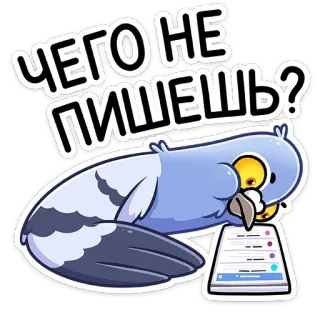 😡 d8b0cce4 ЧЕГО НЕ ПИШЕШЬ? piccione, uccello, scrittura, sms, cartone animato telegram sticker