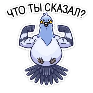 😡 eccc0deb ЧТО ТЫ СКАЗАЛ? piccione, muscoli, uccello, cartone animato, domanda telegram sticker
