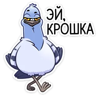 😏 ece70698 Эй, крошка piccione, uccello, cartone animato, occhi telegram sticker