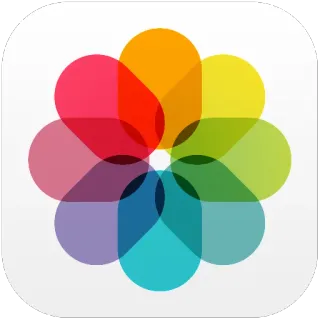 🔵 13ff8a7b flower, colors, colorful, petal, abstract telegram sticker