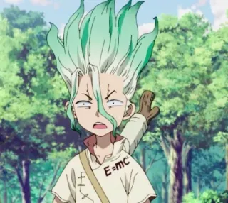 💖 f1a2c6f4 Senku Ishigami Dr. Stone E=mc² 动漫, 角色, 科学家, 科学, Dr. Stone, 石神千空 telegram sticker