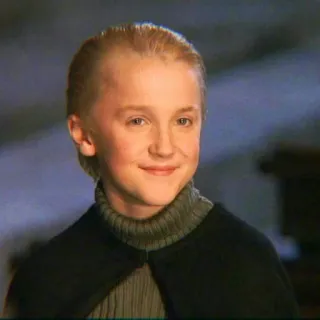 🐍 0e63c4b2 Draco Malfoy Harry Potter Драко Малфой, Гарри Поттер, волшебник, магия, Слизерин, Том Фелтон telegram sticker