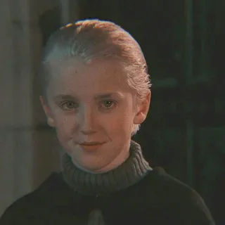 🐍 10c93867 Draco Malfoy Harry Potter Драко Малфой, Гарри Поттер, волшебник, Слизерин, магия telegram sticker