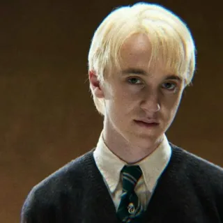 🐍 37b1671d Draco Malfoy Harry Potter Драко Малфой, Гарри Поттер, Слизерин, Том Фелтон, волшебник, магия telegram sticker