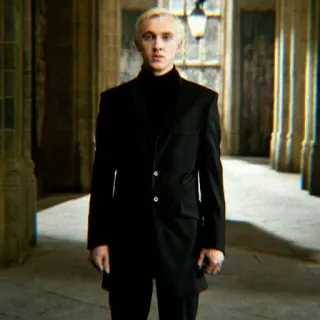 🐍 51bd7108 Draco Malfoy Harry Potter Драко Малфой, Гарри Поттер, Том Фелтон, Слизерин, Волшебник, Магия telegram sticker