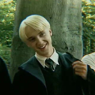 🐍 6e0c04a5 Draco Malfoy Harry Potter драко малфой, гарри поттер, слизерин, волшебник, магия, школа, персонаж telegram sticker
