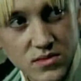 🐍 76399be4 Draco Malfoy Harry Potter Драко Малфой, Слизерин, Волшебник, Том Фелтон, Гарри Поттер, Мем, Персонаж telegram sticker