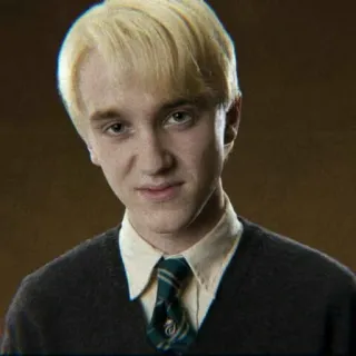 🐍 7f0021d9 Draco Malfoy Harry Potter драко малфой, гарри поттер, слизерин, волшебник, персонаж, фильм, книга telegram sticker