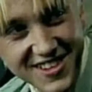 🐍 85858406 Draco Malfoy Harry Potter Драко Малфой, Гарри Поттер, усмешка, злой, персонаж telegram sticker