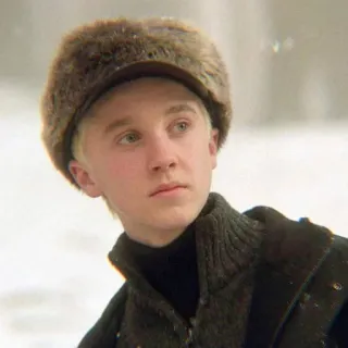 🐍 970fc948 Draco Malfoy Harry Potter Драко Малфой, Гарри Поттер, волшебник, Слизерин, персонаж, фильм, зима telegram sticker