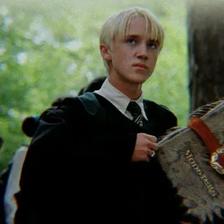 🐍 aab5cd5f Draco Malfoy Harry Potter MONSTERS Драко Малфой, Гарри Поттер, волшебник, магия, книга, школа telegram sticker