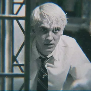 🐍 bed243eb Draco Malfoy Harry Potter Драко Малфой, Гарри Поттер, Слизерин, Том Фелтон, волшебник, магия telegram sticker