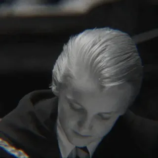 🐍 c89252f6 Draco Malfoy Harry Potter Драко Малфой, Гарри Поттер, Слизерин, волшебник, школа telegram sticker