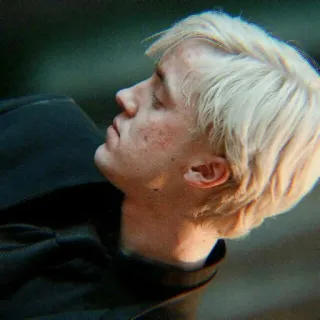 🐍 e6d5db5c Draco Malfoy Harry Potter драко малфой, гарри поттер, том фелтон, волшебник, магия, слизерин telegram sticker