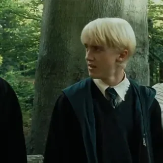 🐍 b21e639f Draco Malfoy Harry Potter drago malefoy, harry potter, slytherin, sorcier, magie, école, personnage, film whatsapp sticker