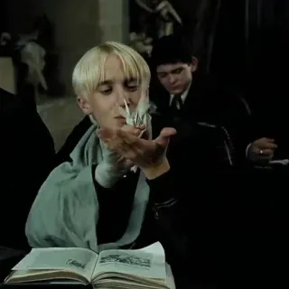 🐍 c33493ba Draco Malfoy Harry Potter Drago Malefoy, Harry Potter, magie, livre, école, Tom Felton, sorcier whatsapp sticker
