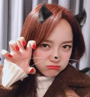 😼 8cbfc5ac femme, selfie, oreilles de chat, filtre, portrait, jeune, personne whatsapp sticker