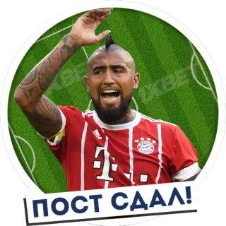 😒 a89c0537 ПОСТ СДАЛ! sepak bola, football, olahraga, atlet, rusia, perayaan telegram sticker
