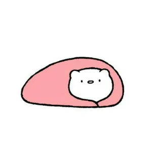 🧸 c4f36344 bear, cute, animal, kawaii, pink, blanket whatsapp sticker