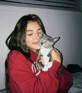 🤗 54d99652 猫, 女性, ペット, 動物, 室内, 笑顔 telegram sticker