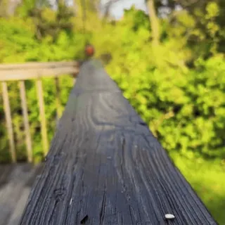 🤨 078761bf telegram sticker