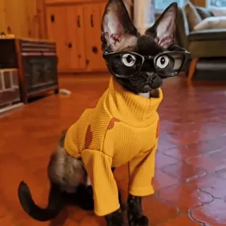 𝐚𝐧𝐢𝐦𝐚𝐥𝐬 #𝟑 | @IIDRM telegram stickers