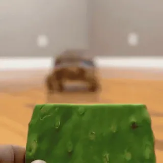 😋 d9c51188 telegram sticker