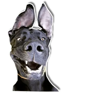 🤪 09332a9e หมา, สัตว์, สัตว์เลี้ยง, สีดำ, ยิ้ม, มีความสุข telegram sticker