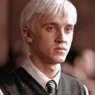 🪐 42183d02 Draco Malfoy Harry Potter Draco Malfoy, Harry Potter, Slytherin, Zauberer, Magie, Tom Felton whatsapp sticker
