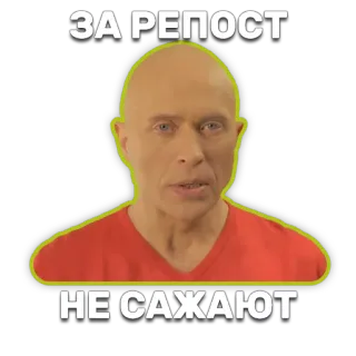 ⚖ 4f06e5b9 ЗА РЕПОСТ
НЕ САЖАЮТ meme, russian, repost, bald, man telegram sticker