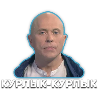 🐦 75dffb13 КУРЛЫК-КУРЛЫК telegram sticker