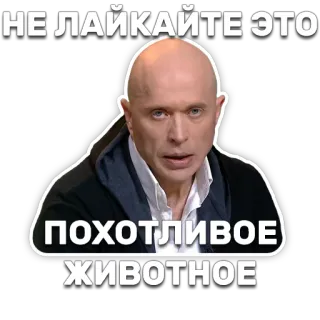 🐷 d4affa30 НЕ ЛАЙКАЙТЕ ЭТО
ПОХОТЛИВОЕ ЖИВОТНОЕ man, bald, text, russian, meme, sticker telegram sticker