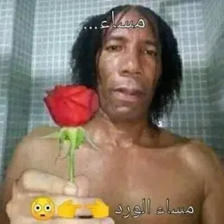 🌹 beb4b7f8 مساء....
مساء الورد Rose, Gruß, Mann, Blumen, Dusche, Arabisch telegram sticker
