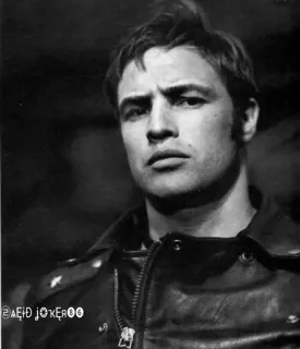 😠 2f20fd51 Marlon Brando The Wild One @ACID_JOKER00 Marlon Brando, Schauspieler, Film, Kinofilm, Der Wilde, Lederjacke, Schwarzweiß whatsapp sticker