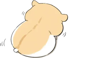 🐿 88efbfeb hámster, animal, lindo, mascota, roedor, esponjoso telegram sticker