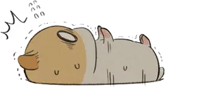 😱 fd10aec1 zzz hámster, dormilón, animal, lindo, dibujos animados, cansado telegram sticker