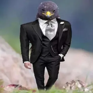 @emodji_all 🦆 Утка или нет🪿 @emodji_all telegram stickers