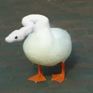 🐍 3c2dce2e canard, serpent, hybride, oiseau, animal, drôle, oie telegram sticker