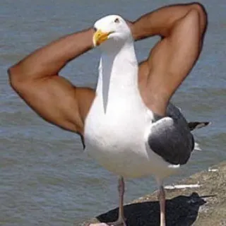 @emodji_all 🦆 Утка или нет🪿 @emodji_all telegram stickers