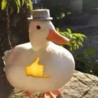 🤙 a474b654 canard, chapeau, animal, mignon, oiseau, appelle-moi main telegram sticker