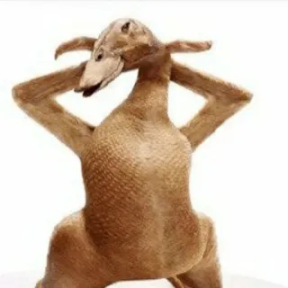 😏 c56b6c81 canard, animal, mort, volaille telegram sticker