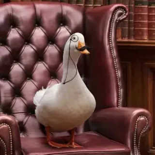 🧐 cfc10d46 canard, oie, monocle, moustache, chaise, bibliothèque, chic telegram sticker